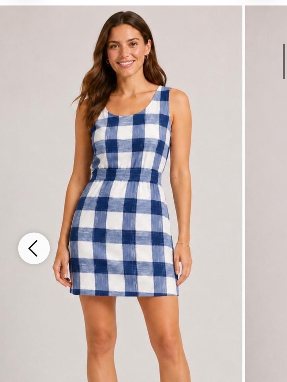 Vineyard Vines Blue and White Gingham Sleeveless Mini Dress
